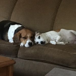 Meet your Posher, Donna